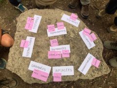 Anim Graines et Sens – Fuielles familles, post-it plante