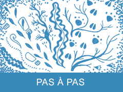 PasAPasRVB