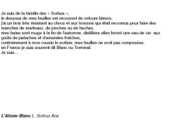 fiches-de-question-pour-un-champignon_alisier blanc