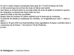 fiches-de-question-pour-un-champignon_châtaignier