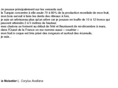 fiches-de-question-pour-un-champignon_noisetier