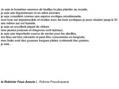 fiches-de-question-pour-un-champignon_robinier faux acacia
