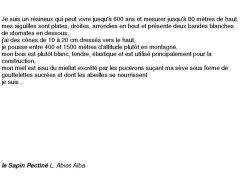fiches-de-question-pour-un-champignon_sapin pectiné
