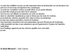 fiches-de-question-pour-un-champignon_saule marsault