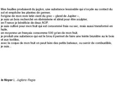 fiches-de-question-pour-un-champignon_noyer