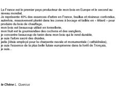 fiches-de-question-pour-un-champignon_chêne